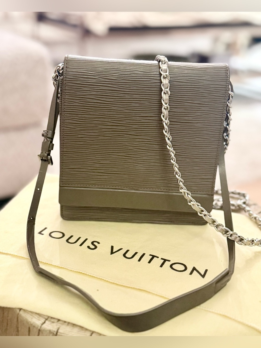 Louis Vuitton Epi Grey Biarritz-W/ Certificate of Authenticity & Dust bag